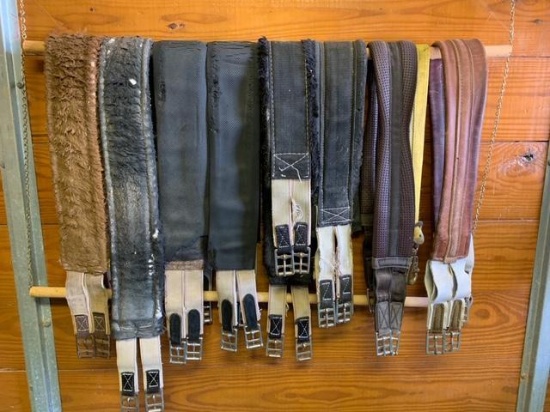 10 assorted girths