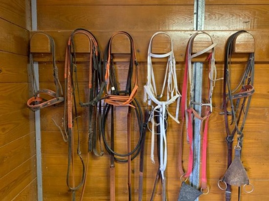 Assortment of headstalls