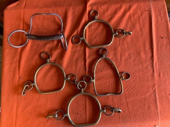 - 6 chifney bits - 1 leather mouth piece bit - 1 snaffle bit
