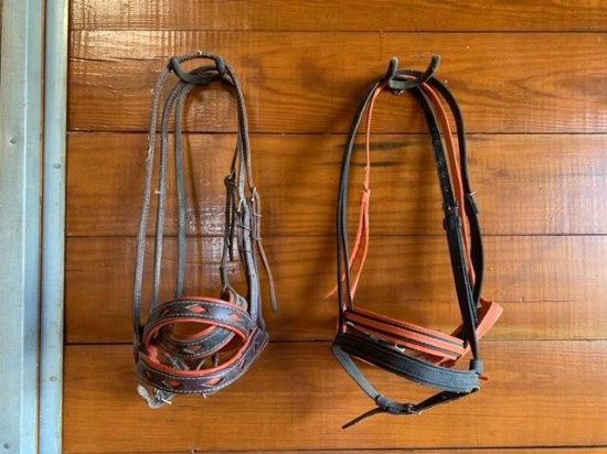 - 3 Nylon Halters - 3 Leather Halters