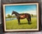 TOLLTAC PAINTING STUCKENBERG