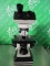 Wesco CXr II Microscope