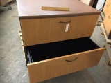 2 drawer Short Filing Cabinet 29