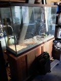 Fish tank 80 gallon show with stand Eheim filter light lava rock and powerheads