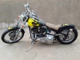 Harley-Davidson Custom chopper named the Beast custom paint job