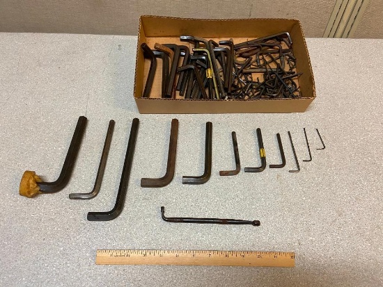 Assorted Allen Wrenches