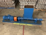 Liberty Process Equipment 2LJ4-CD0 Progressive Cavity Pump