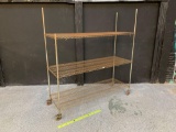 Metro Style Steel Rolling Rack 72x24x77