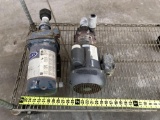 March TE-7R-MD Magnetic Drive Pump & Berkeley C48J2EC11C3 Water Pump - 2pcs