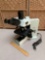 Olympus Optical BX40F Fluorescence / Clinical Microscope