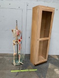 Classroom Skeleton w/ Stand & Display - Skeleton Closet