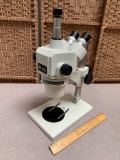 Fisher Scientific Stereo Master Microscope