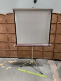 DA-LITE Wonder Lite Video / Movie Projection Screen - Silver Screen