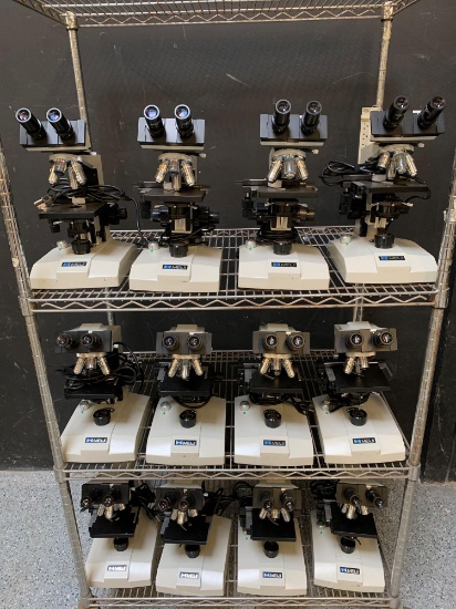 Meiji Techno ML2000L Biological Laboratory Series Microscope w/4 objectives - 12pcs