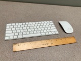 Apple Wireless Keyboard & Mouse / Magic Mouse & Magic Keyboard