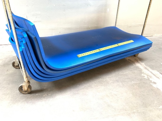 6pcs - Airex Hercules Excercise / Gym / Rehabilitation Mat Blue 78" x 39" x 3/4"