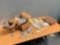 Mixed Hardware / Drywall Plastic Anchors / Speed Nuts / Screws / Self Drilling Screws