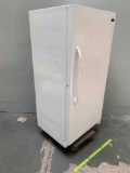 Norlake Scientific Commercial Ultra Low Freezer -20C