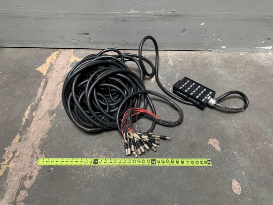 Whirlwind SNK164XL100 Meduca Connect 16-Channel / 4x XLR Return 100ft Microphone Snake Cable