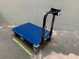 Americart USA Motorized Utility Cart 47