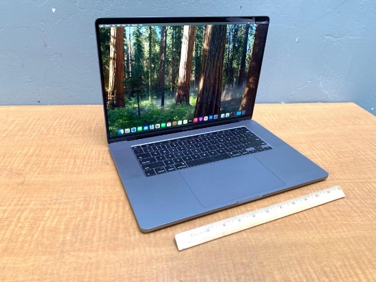 Apple MacBookPro16,1 16" Retina Intel i7-9750 2.6GHz 16GB 500GB SSD Intel Video Sequoia - 2019