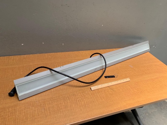 Lumenpulse LOIDC-24V-48-40K-DIM-ASL Inground Linear Ground Recessed Lighting