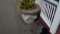 Outdoor Flower Pot with Angel