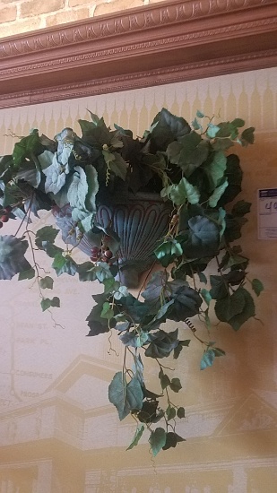 Plants