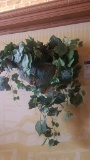 Plants