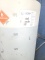 Concentrated Windshield wiper fluid (FLUID ONLY) (Sold per gallon, must have container(s) to remove)