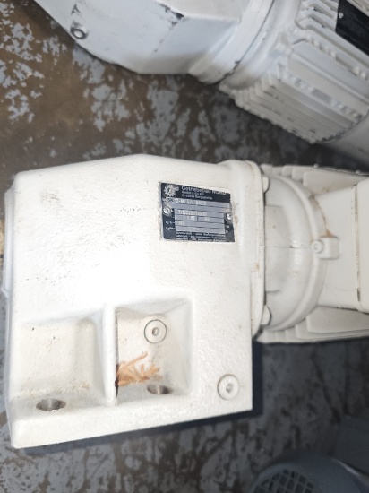 Euro drive gear motor