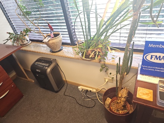 Live plants with pots