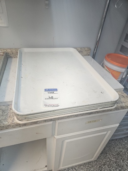 Poly Full size sheet pans used