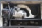 (1) B&D electric 3/16