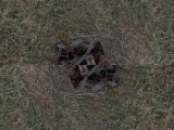 Misc animal traps