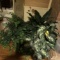 Large Lot of Greenery/plants