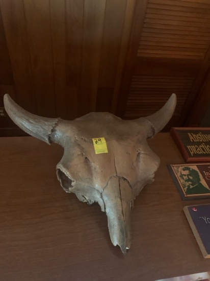 Buffalo Skull(Nose Piece Loose)