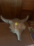 Buffalo Skull(Nose Piece Loose)