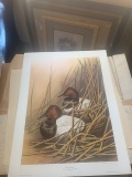 Canvasbacks Print by Pat Ford