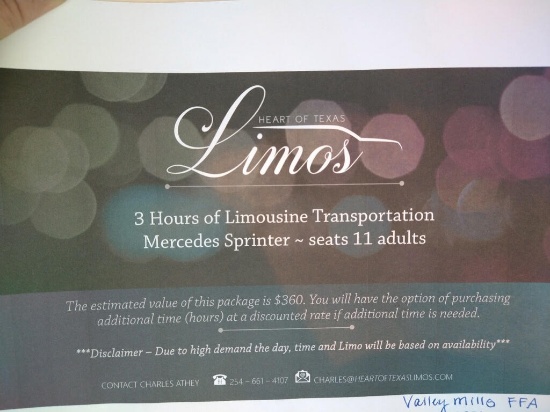 3 Hour Limo Ride up to 11 adults