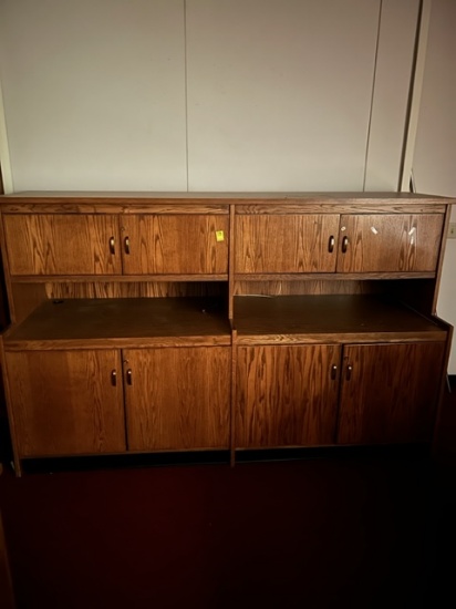 LIBRARY STORAGE CUSTOM CABINET