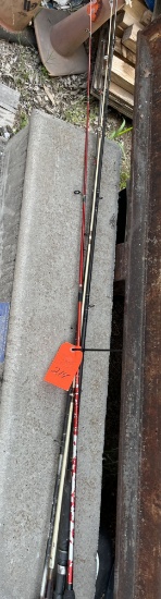 ASST FISHING RODS