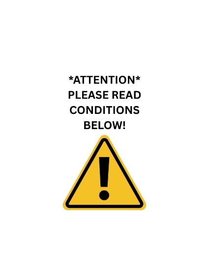 Please Read Description Below For Conditions Before Bidding