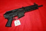 Sig Sauer Model P556 Swat .556 Pistol
