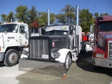 1994 PETERBILT 379 Extended Hood Conventional