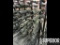 (4) 4-1/8