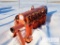 (9-19) MONGOOSE 16-Cone Desander (237882)