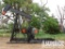 AMERICAN 80 Pump Jack (No Eng)