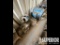 (6-49) (3) 50HP, (1) 30HP, (2) 15HP, (2) 5HP Elec