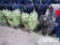 SECURITY Type 13-1/2